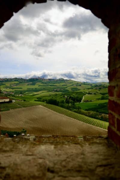 Widok z okna Zamku Grinzane Cavour na okoliczne winnice