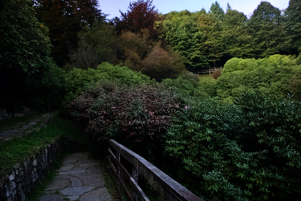 Panorama Górska w Alpach w parku Oasi Zegna, wędrówka szlakiem rododendronów