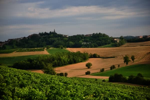 Widok na krajobraz Piemontu z ławki Panchina Gigante