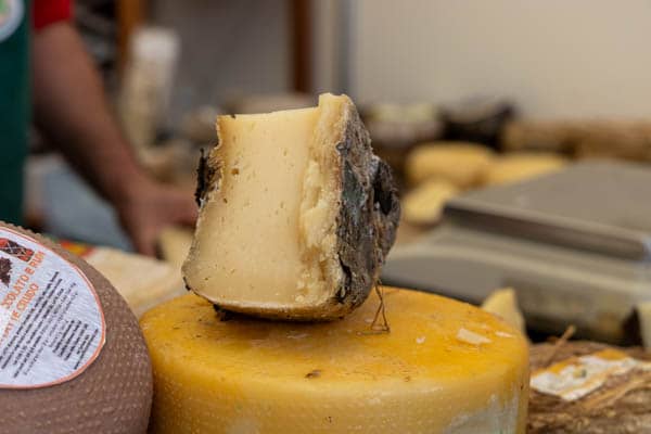 Kawałek sera z Piemontu dojrzewające na straganie festynu gastronomicznego w Cuneo
